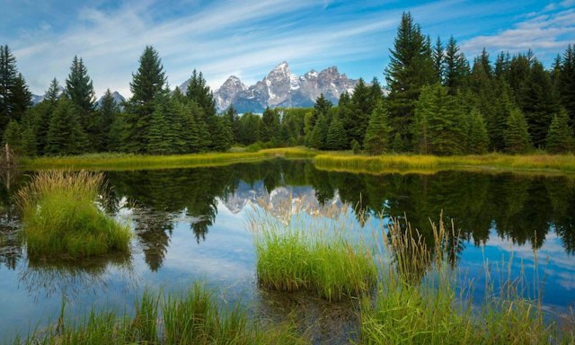 Scenic Safaris - Summer image 10