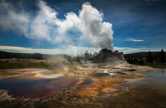 Scenic Safaris - Summer image 12