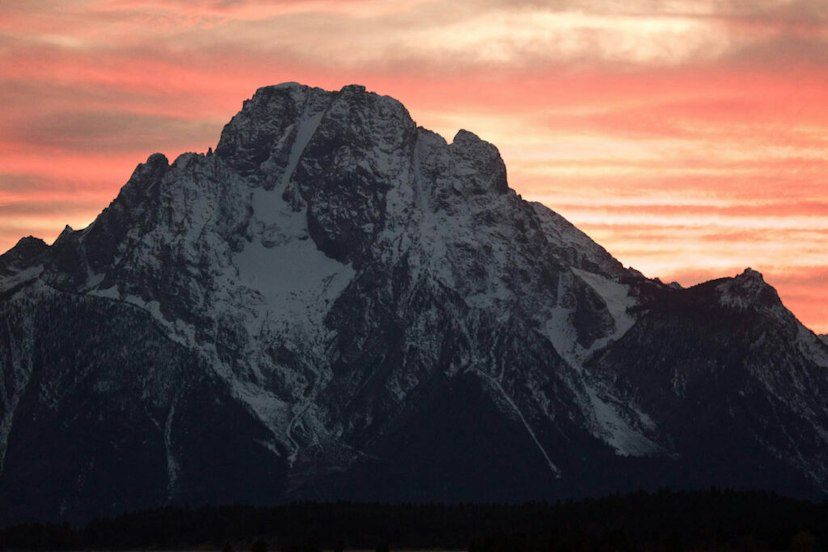 Wildlife Expeditions of Teton Science Schools image 3