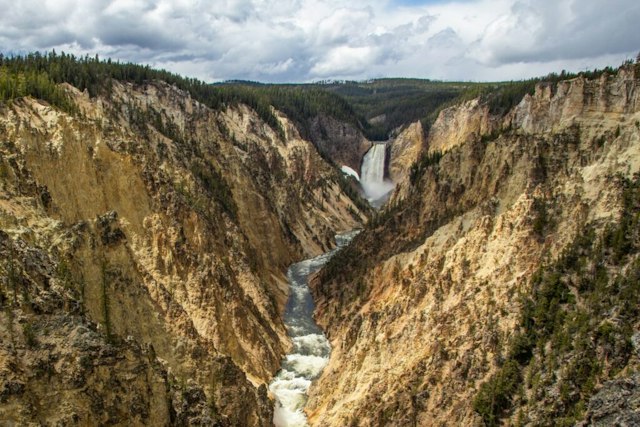 Wildlife Expeditions of Teton Science Schools image 6
