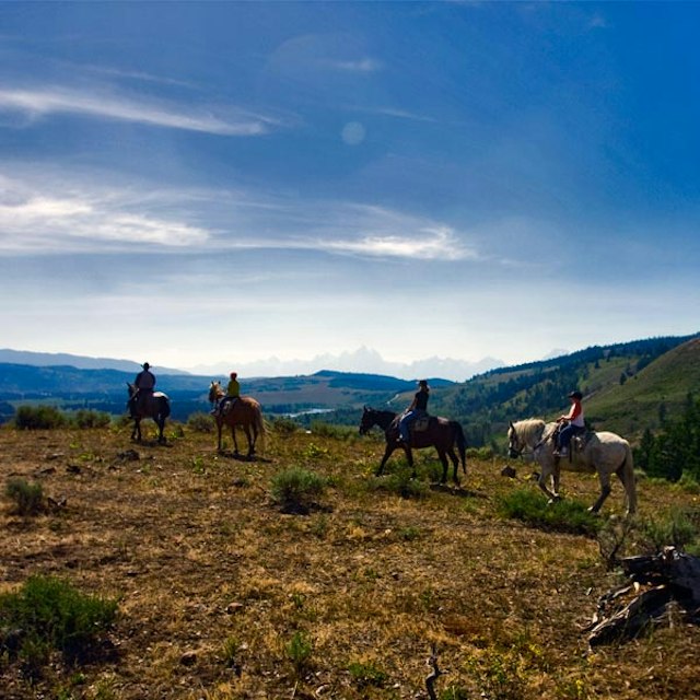Yellowstone Outfitters image 3