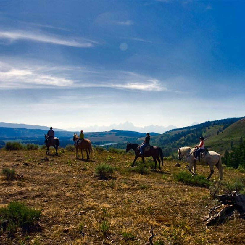 Yellowstone Outfitters image 3