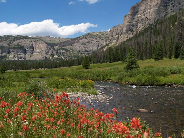 Yellowstone Outfitters image 8