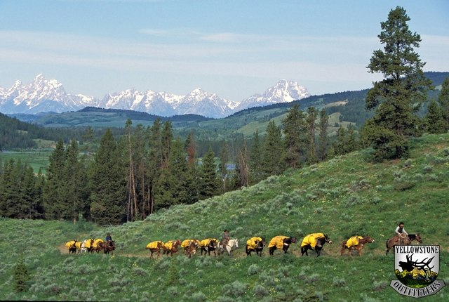 Yellowstone Outfitters image 10