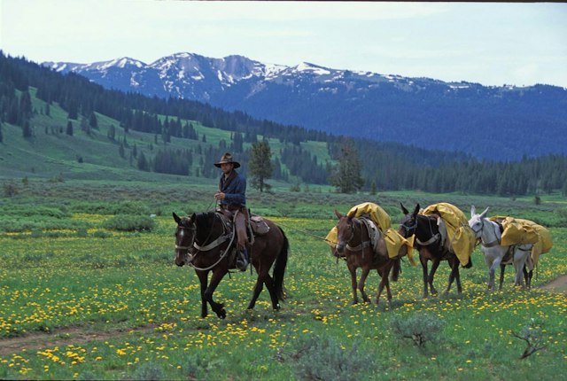 Yellowstone Outfitters image 12