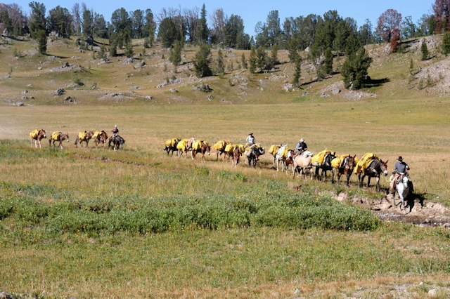 Yellowstone Outfitters image 13