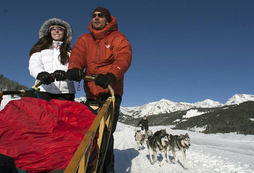 Jackson Hole Iditarod Sled Dog Tours image 3