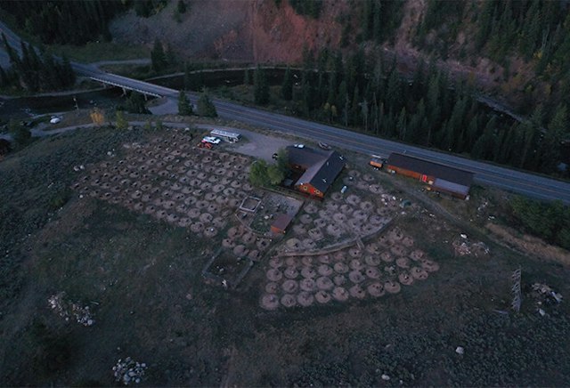 Jackson Hole Iditarod Sled Dog Tours image 2
