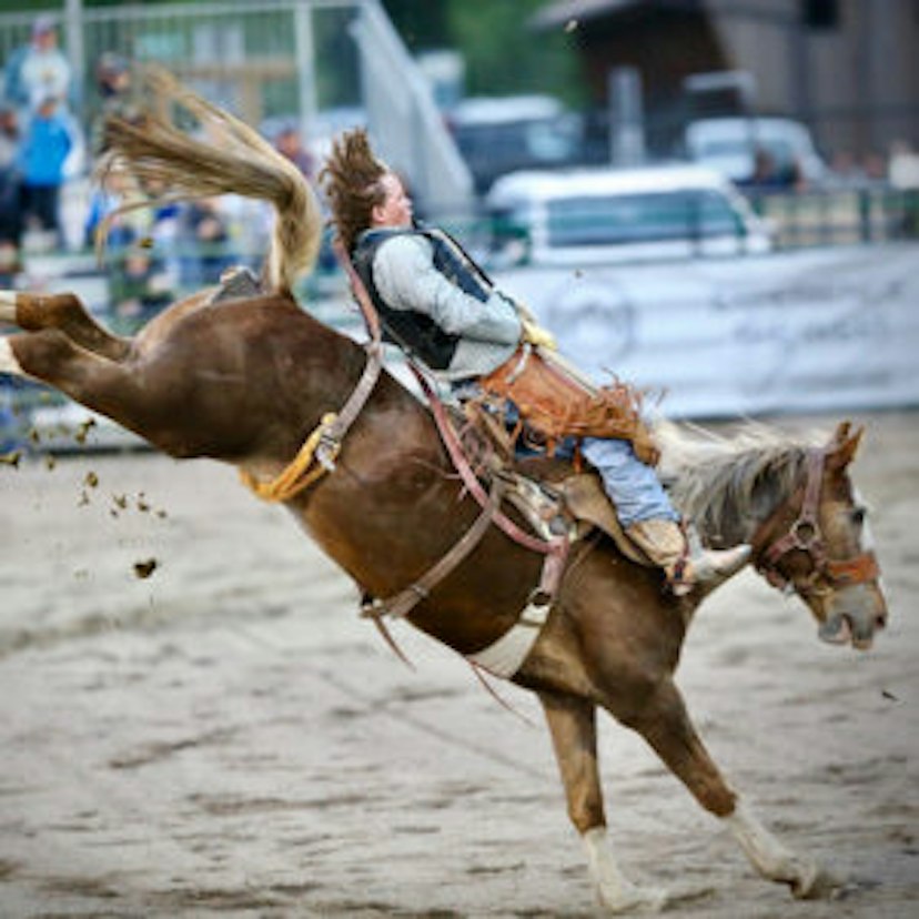 Jackson Hole Rodeo image 2