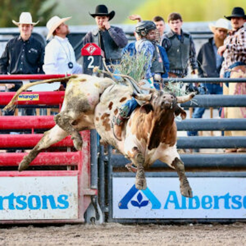 Jackson Hole Rodeo image 3
