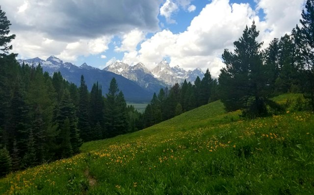 Teton Helicopters image 6