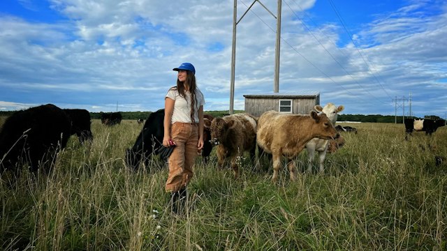 Wildom Farm image 7