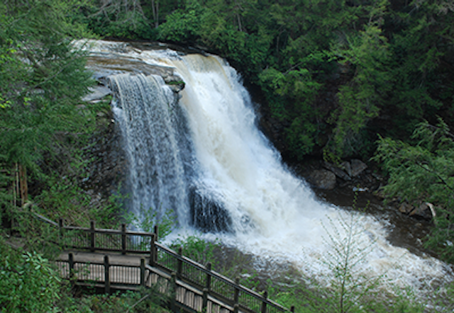 Hiking in Swallow Falls State Park image 1