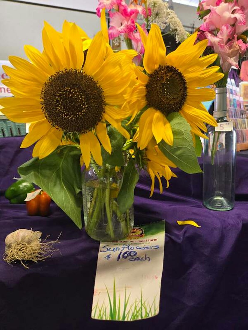 Mountain Fresh Farmers Market image 2