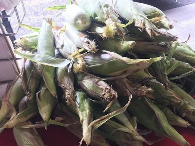 Mountain Fresh Farmers Market image 3