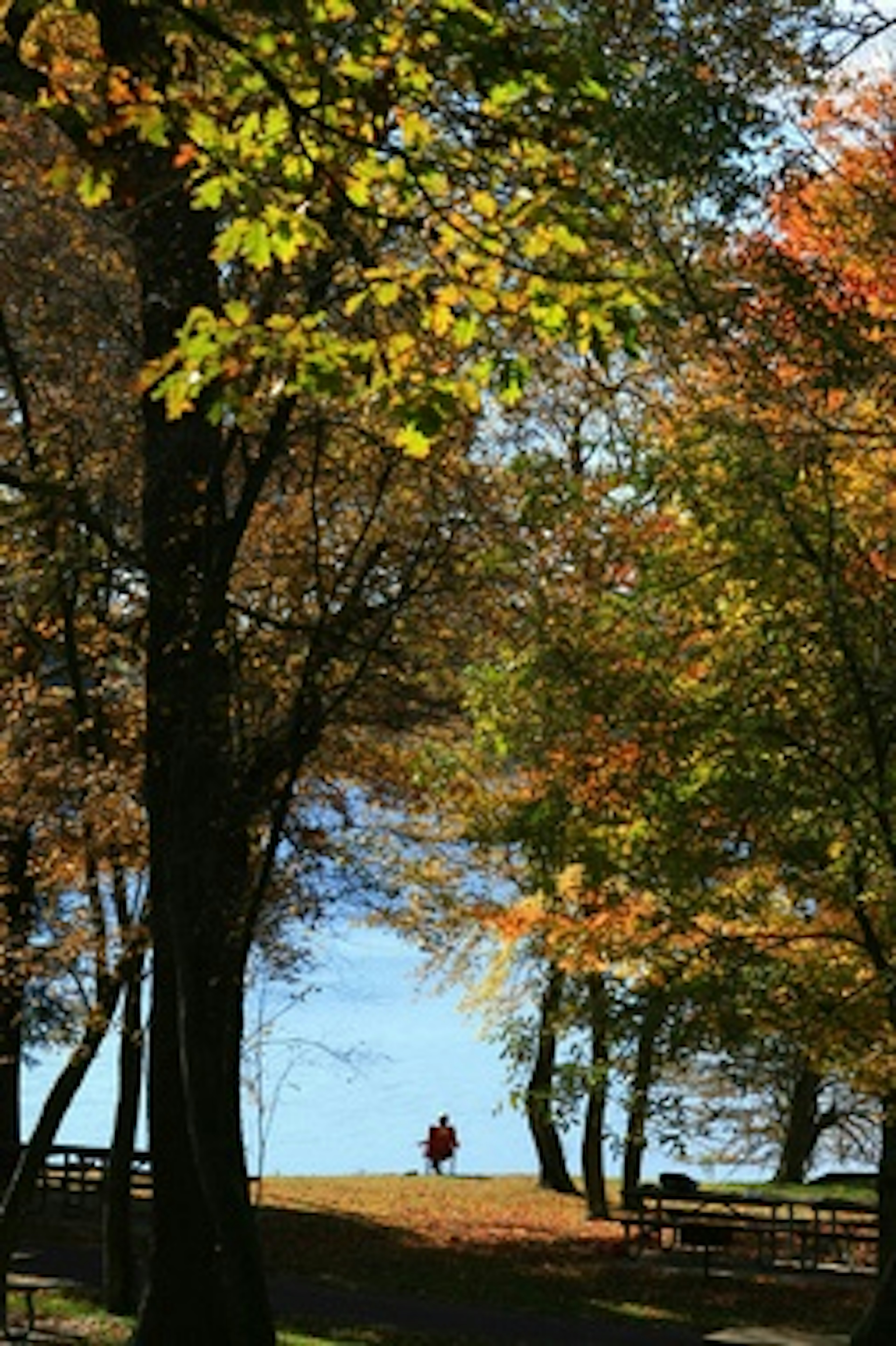 Herrington Manor State Park, photo