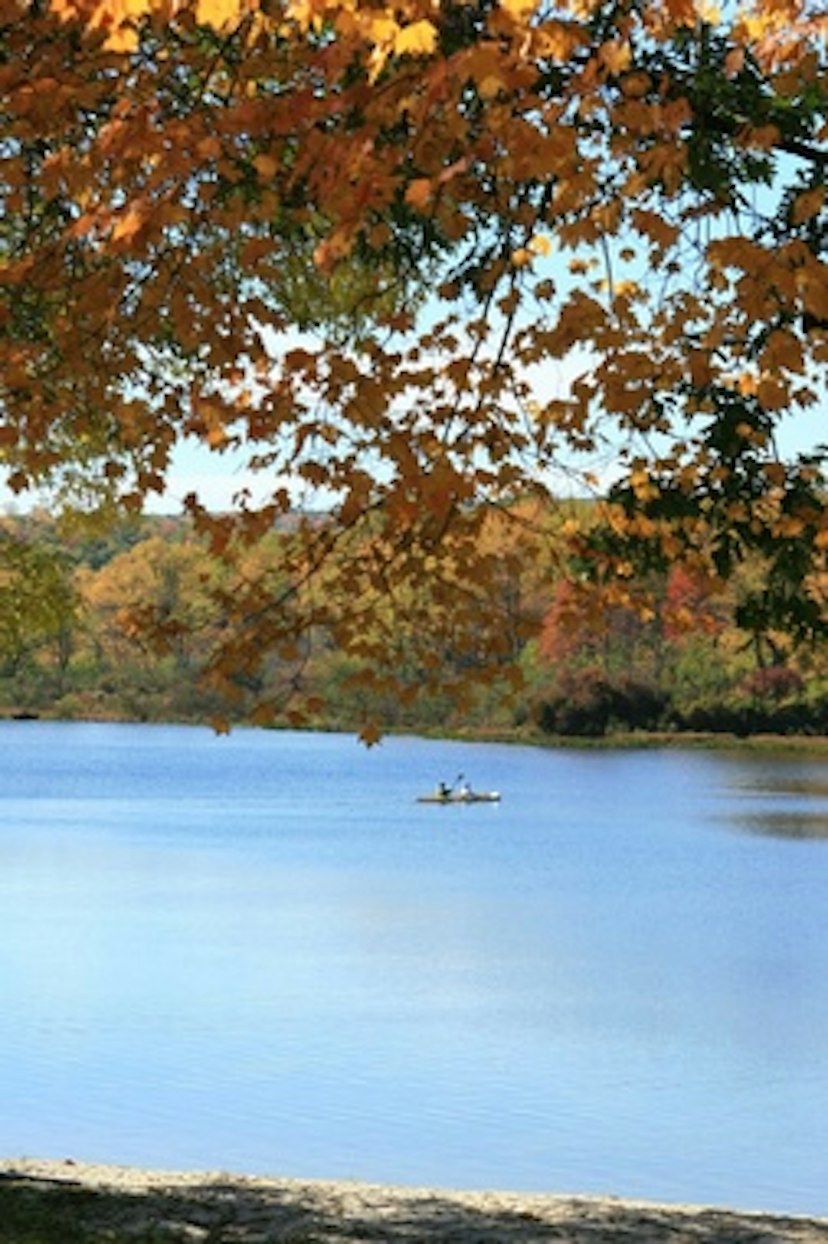 Herrington Manor State Park image 2