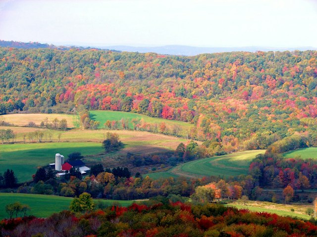 Autumn Glory Festival image 7