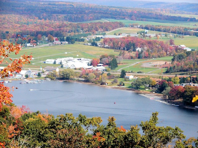Autumn Glory Festival image 8
