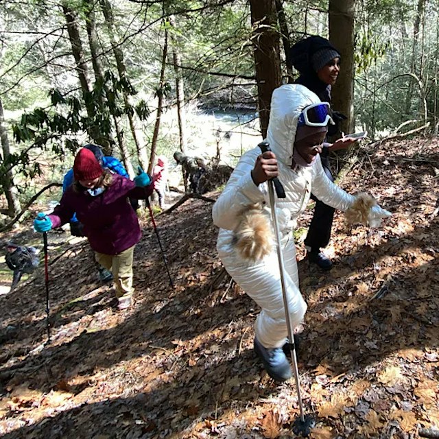 All Earth Eco Tours image 8
