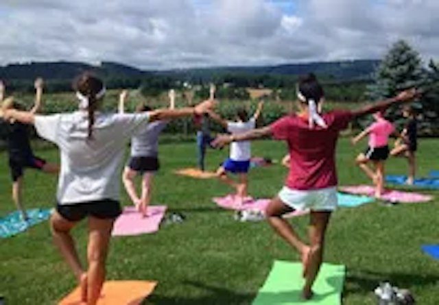 All Earth Eco Tours image 13