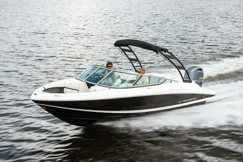Lake Life Boat Rentals image 3