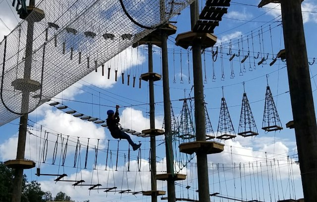 Monkey Business Adventure Park image 10