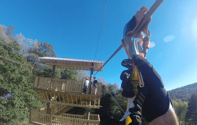 Monkey Business Adventure Park image 7