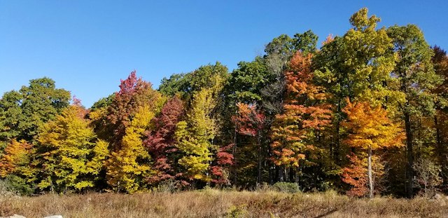 Savage Highlands State Park image 3