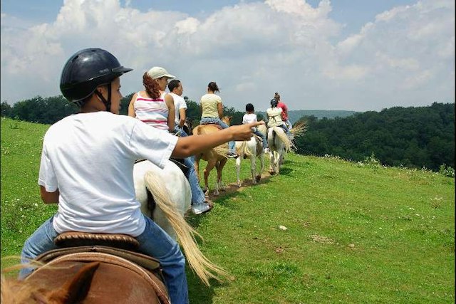 Circle R Ranch image 3