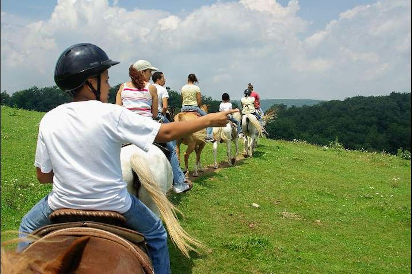 Circle R Ranch image 3