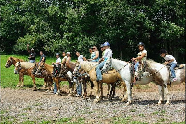 Circle R Ranch image 11