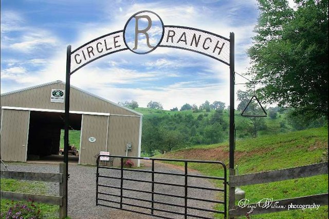Circle R Ranch image 8