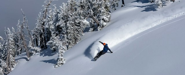 Mt. Bachelor Ski Resort image 2