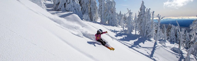 Mt. Bachelor Ski Resort image 5