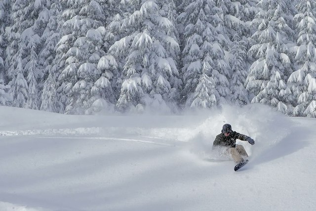 Mt. Bachelor Ski Resort image 10