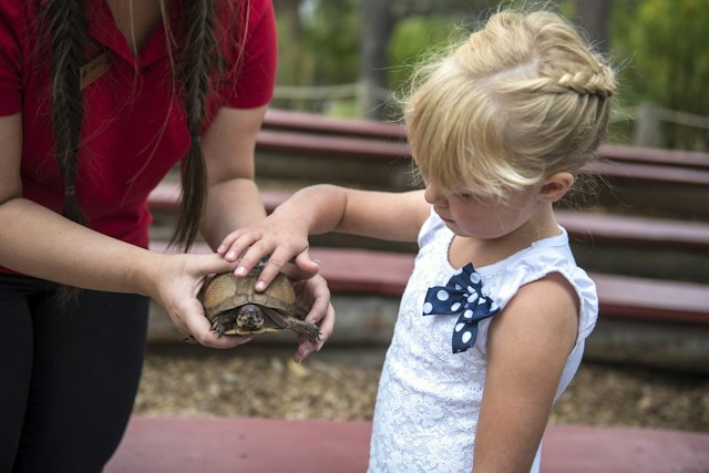 Sunriver Nature Center & Observatory image 3