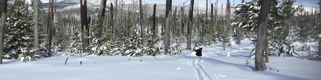Ray Benson Sno-Park image 1