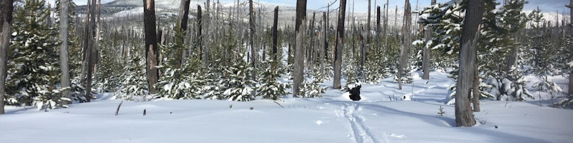 Ray Benson Sno-Park image 1