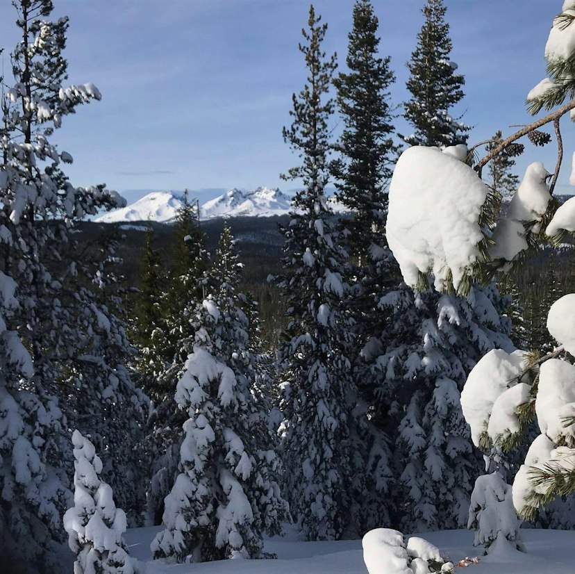 Swampy Lakes Sno-Park image 1
