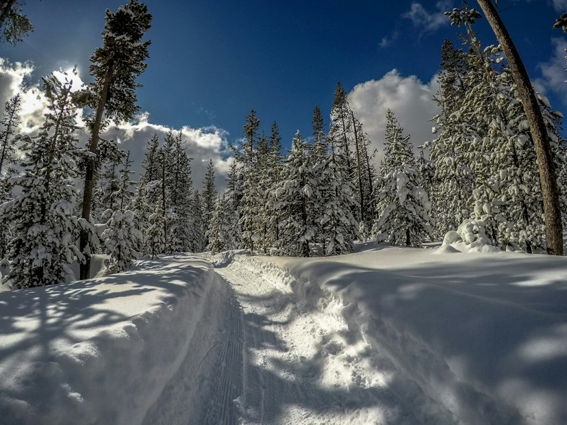 Wanoga Sno-Park image 1