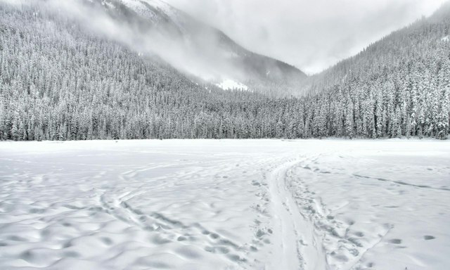 Snowcat Excursion at Elk Lake Resort image 3