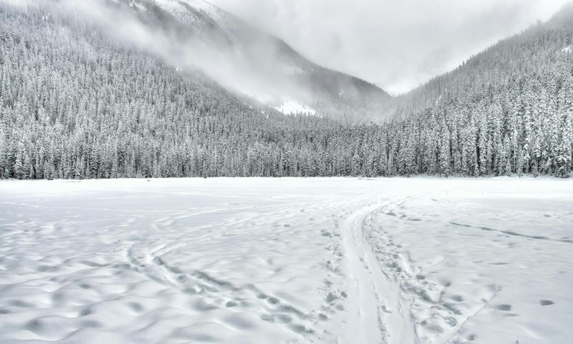 Snowcat Excursion at Elk Lake Resort image 3