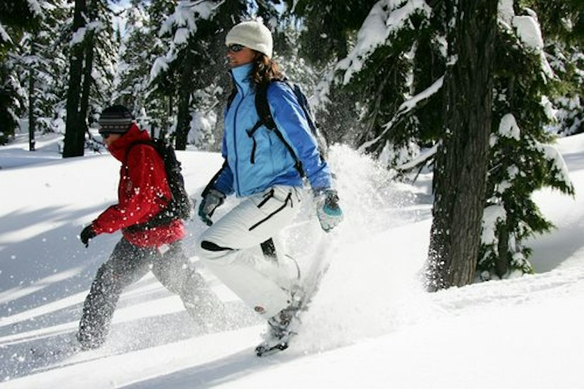 Wanderlust Tours image 3