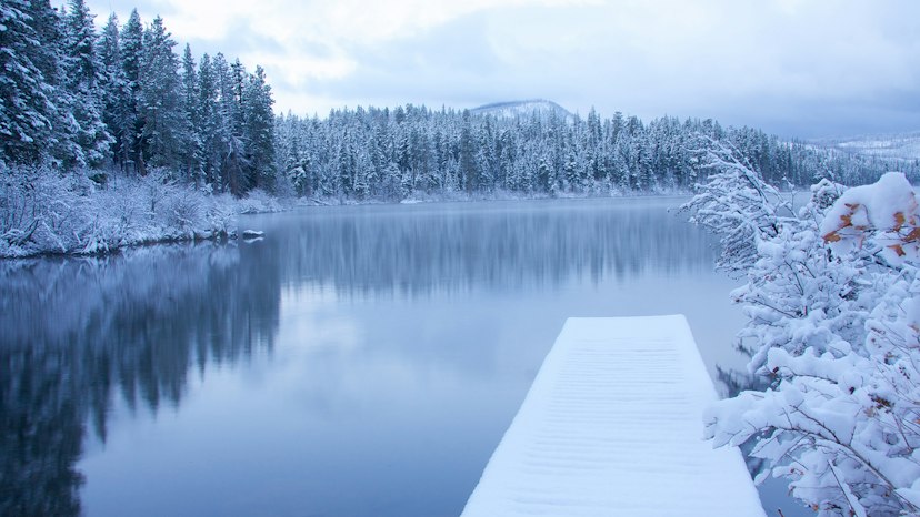 Snowshoe at Suttle Lake image 3