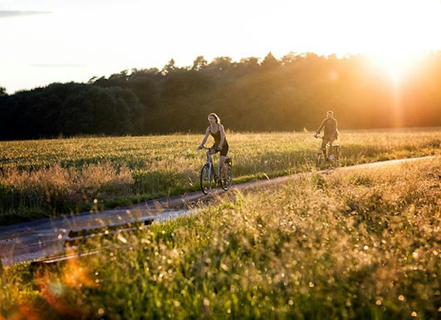 Village Bike & Ski image 3