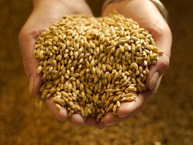 Oregon Spirit Distillers image 2