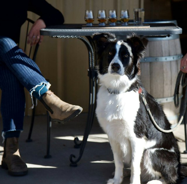 Oregon Spirit Distillers image 5