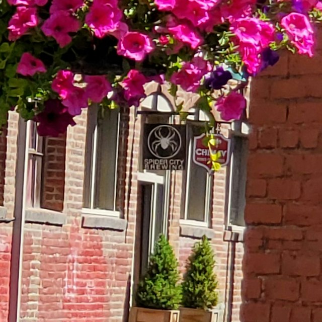 Spider City Brewing image 7