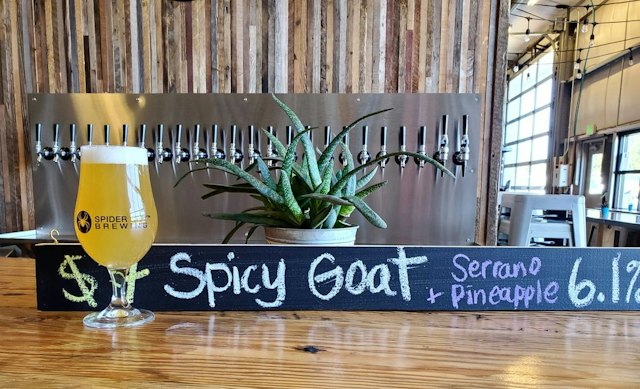 Spider City Brewing image 13